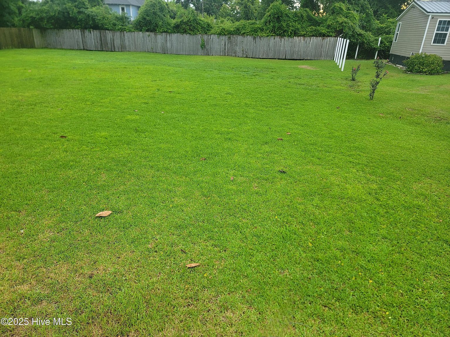 805 Pavie Ave, New Bern, NC, 28560 - Thumbnail 5