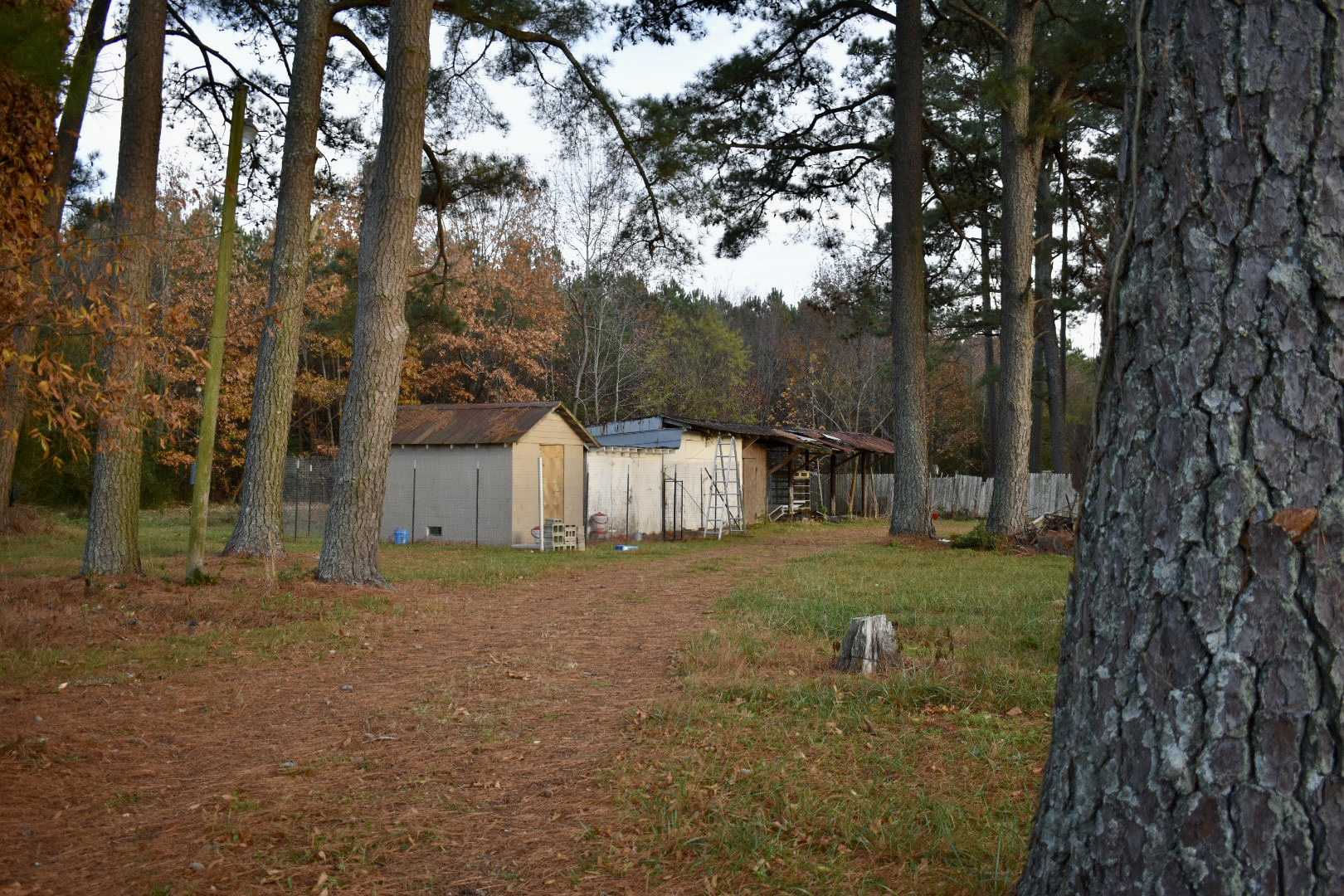 796 North Carolina 35, Woodland, NC, USA, 27897 - Thumbnail 5