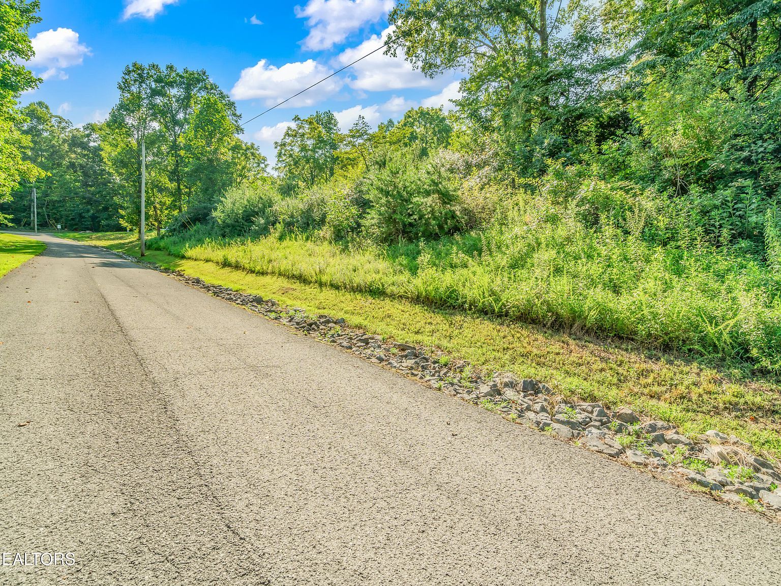 LOT 2 Shanghai Landing Ln La Follette, TN 37766 - Thumbnail 5