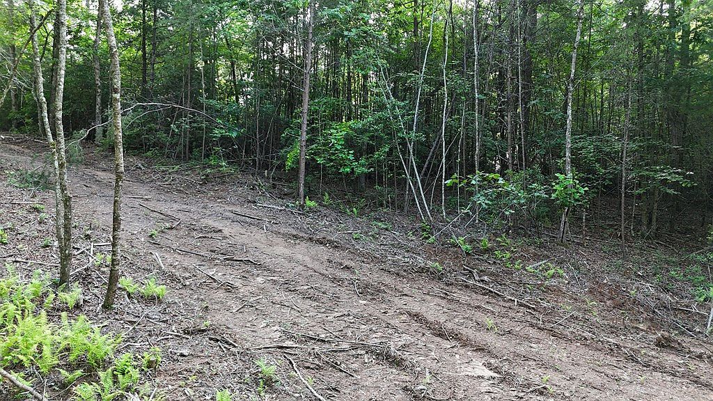 Township Road 2 E Ellijay, GA 30536 - Thumbnail 5