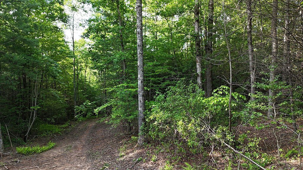 Township Road C E Ellijay, GA 30536 - Thumbnail 5