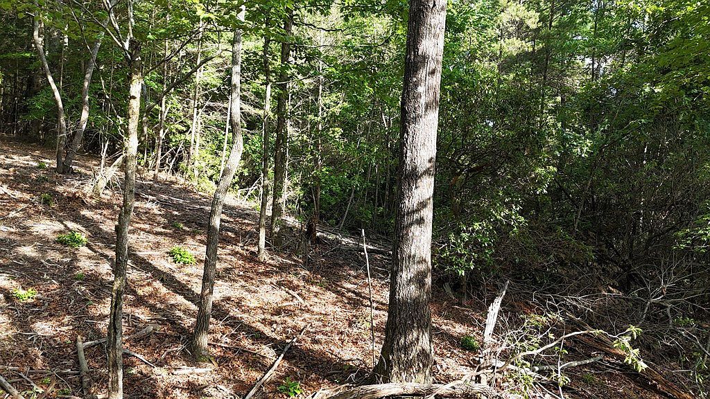 Township Road B E Ellijay, GA 30536 - Thumbnail 5