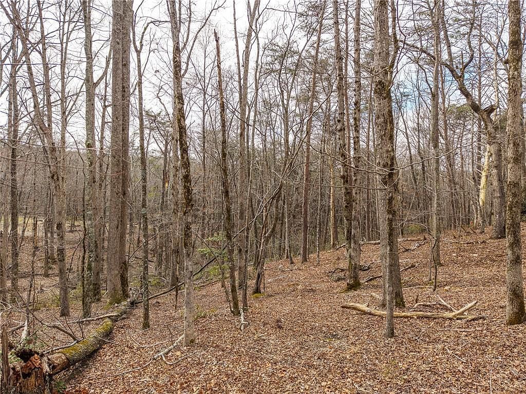 LOT 167 Henderson Mountain Rd Jasper, GA 30143 - Thumbnail 5