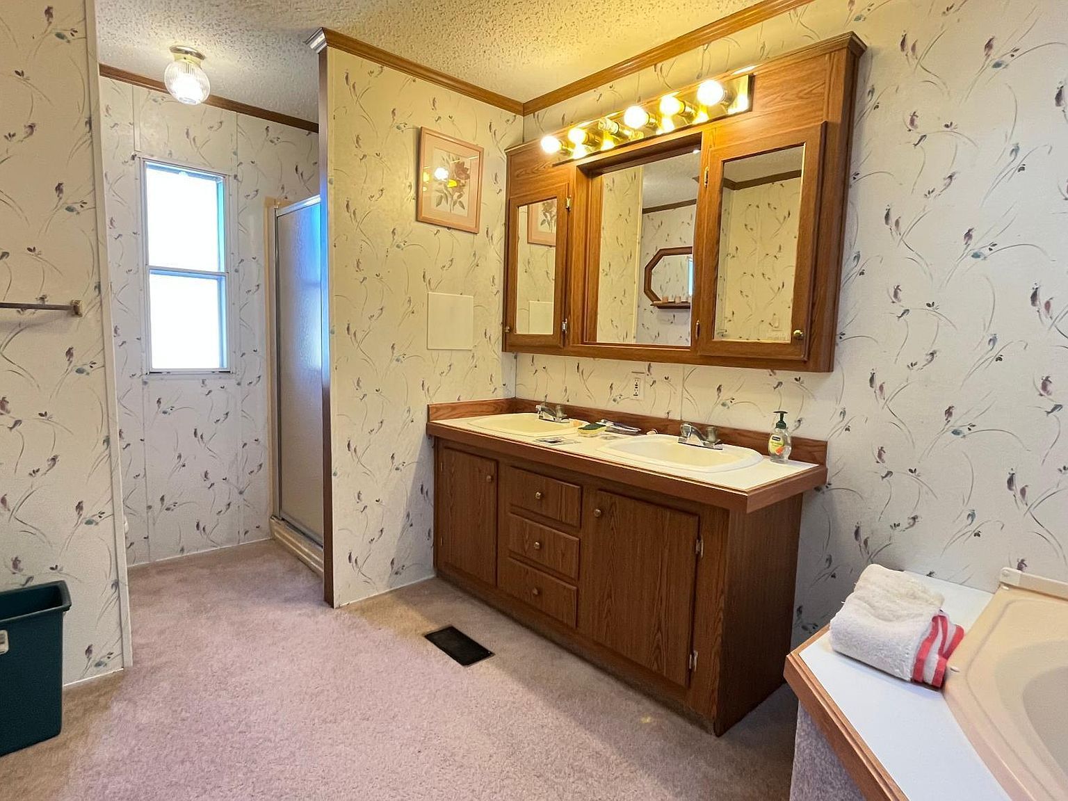 7800 Maple Hill Rd LOT B11 Hamel, MN 55340 - Thumbnail 5