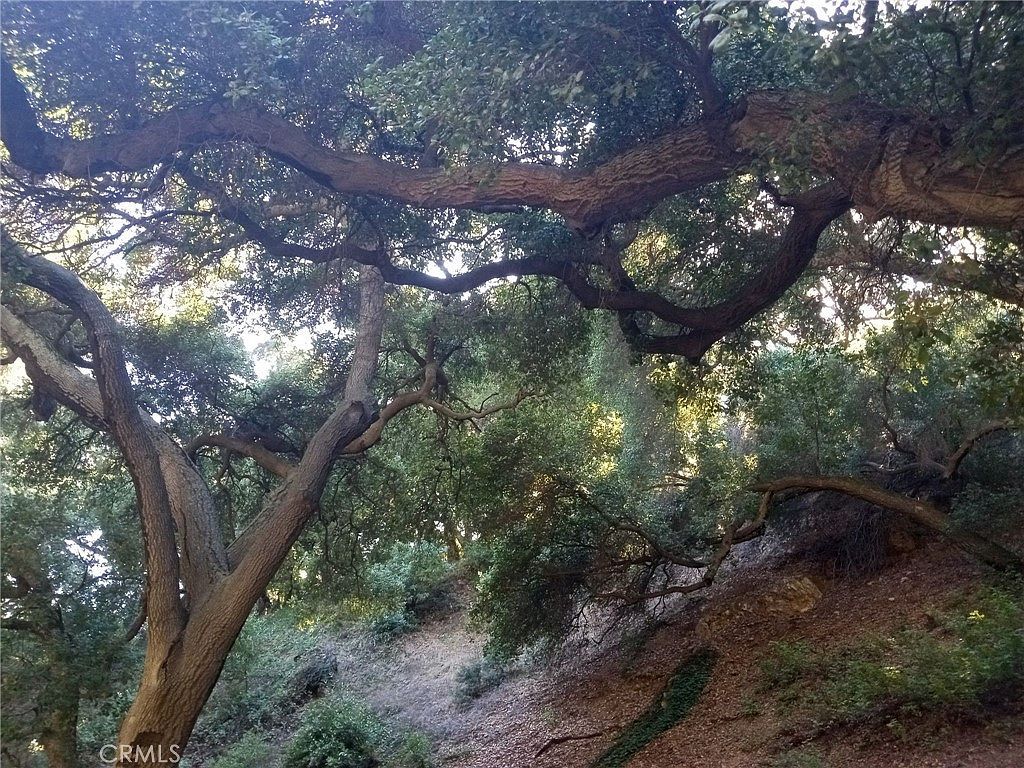 LOT 22 Claremont, CA 91711  | Land/Lot