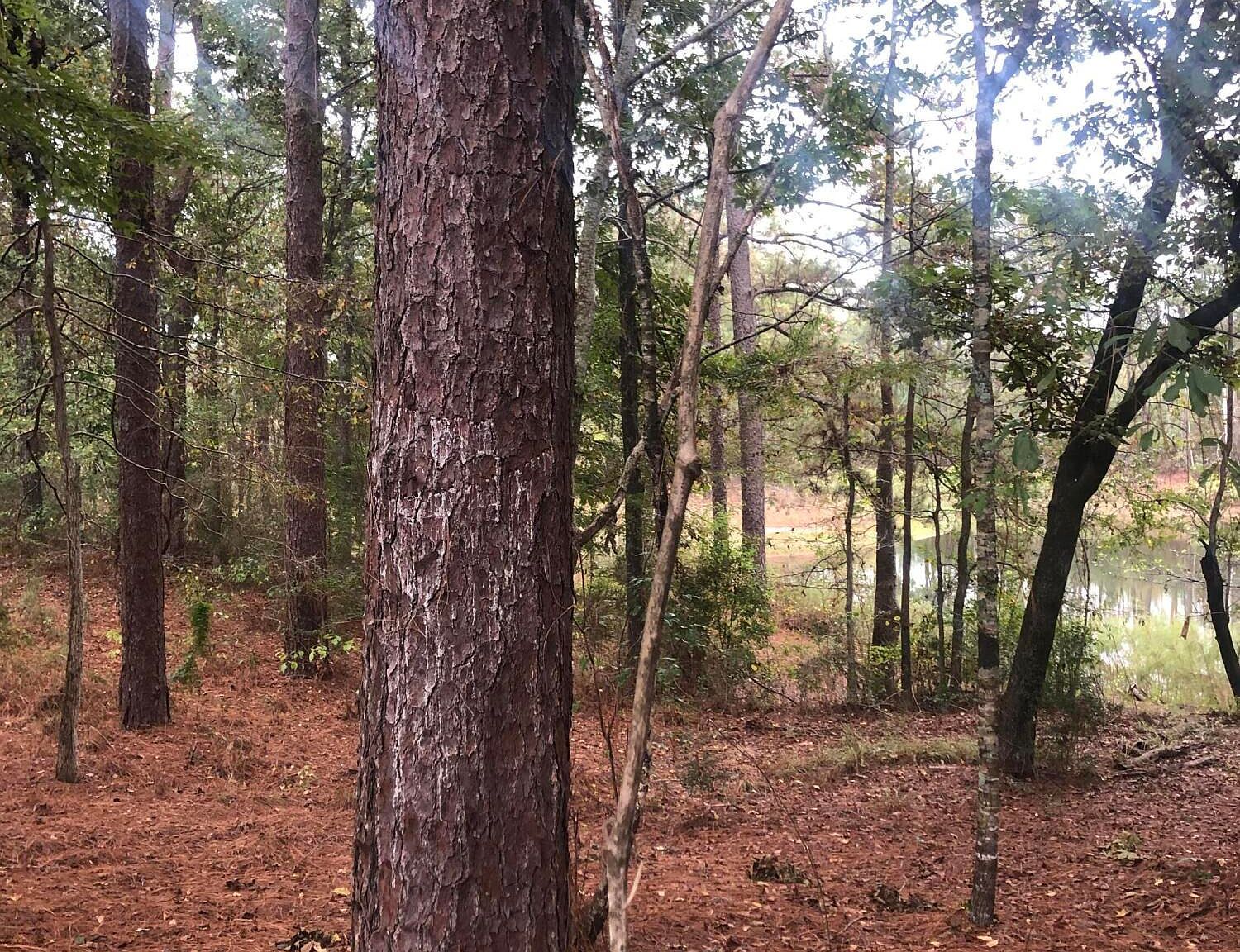 16 Dogwood Lake Rd Moselle, MS 39459 - Thumbnail 5