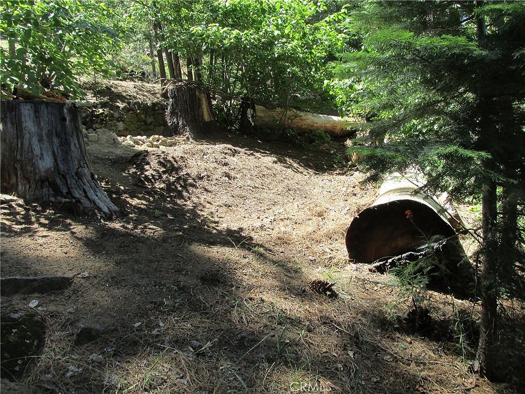 7419 Henness Ridge Rd #100 Yosemite National Park, CA 95389 - Thumbnail 5