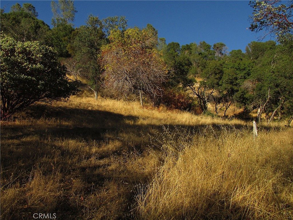 Old Oaks Ct LOT 3 North Fork, CA 93643 - Thumbnail 5