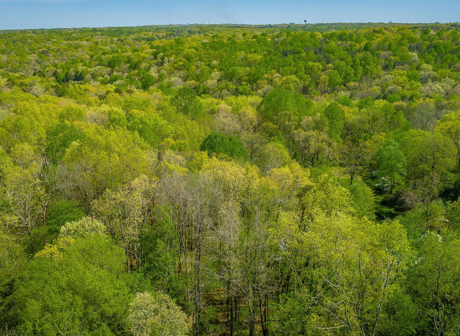 2424 Corral Rd Signal Mountain, TN 37377 - Thumbnail 5