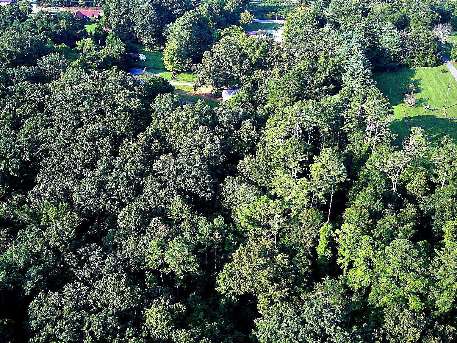 1343 Thrasher Pike Hixson, TN 37343 - Thumbnail 5