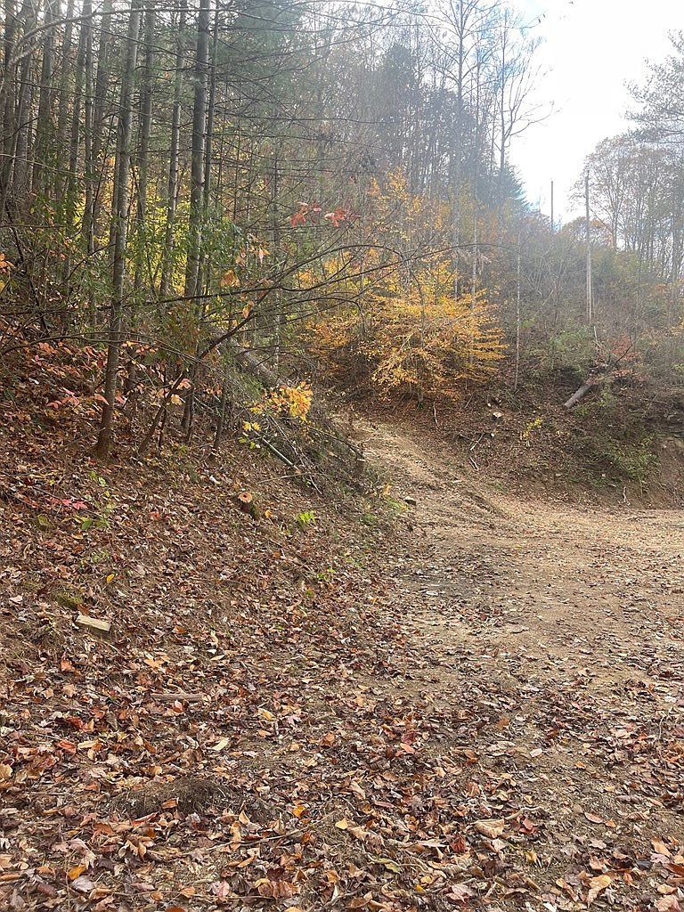 49 Winter Dr Topmost, KY 41862  | Land/Lot