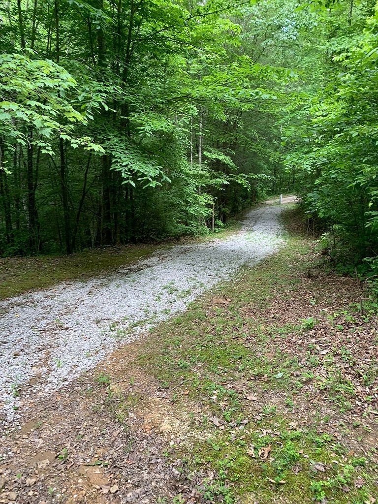 0 Barton Ln #1 Viper, KY 41774 - Thumbnail 5