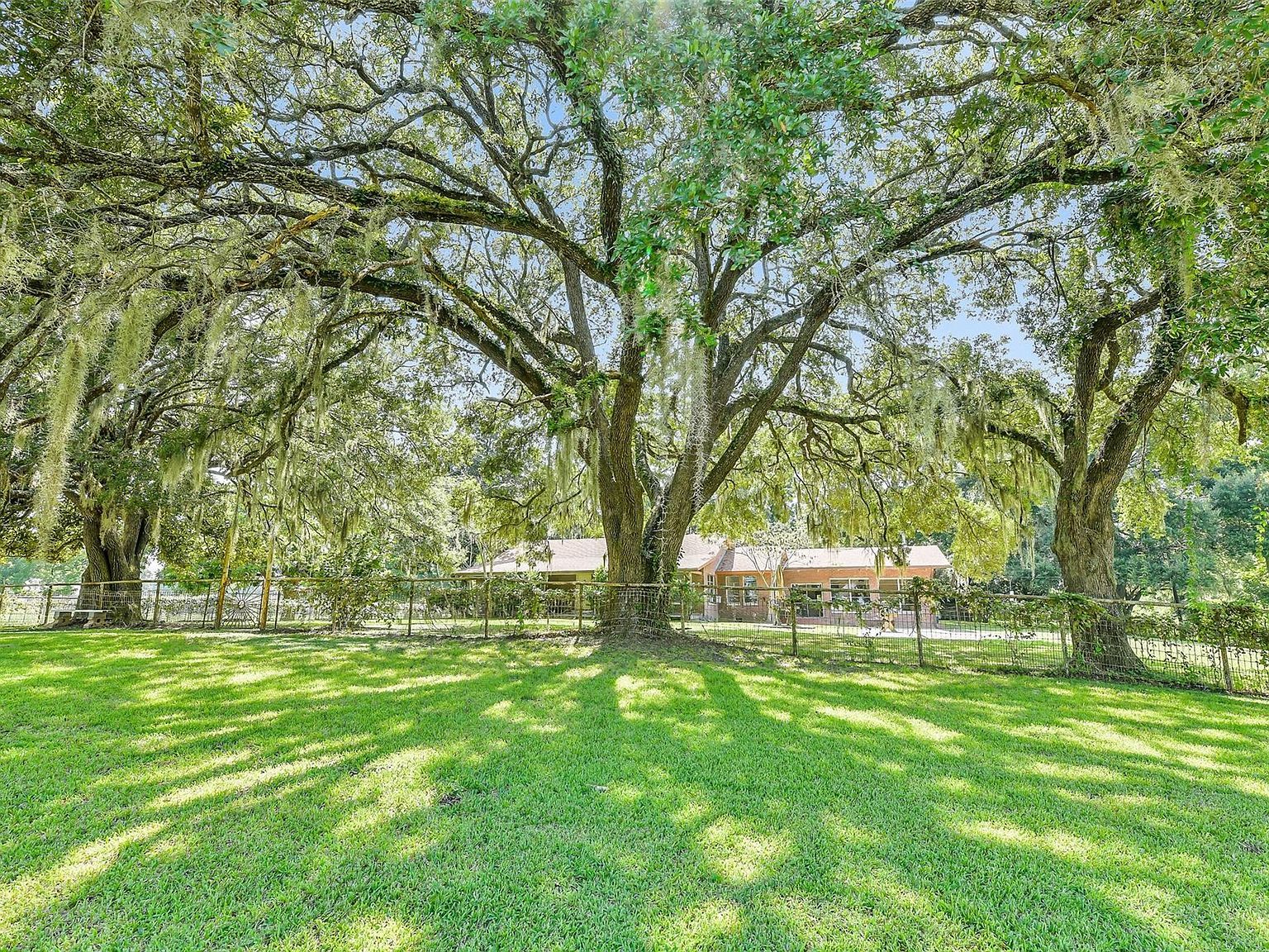 30 W Main Dr Shepherd, TX 77371 - Thumbnail 5