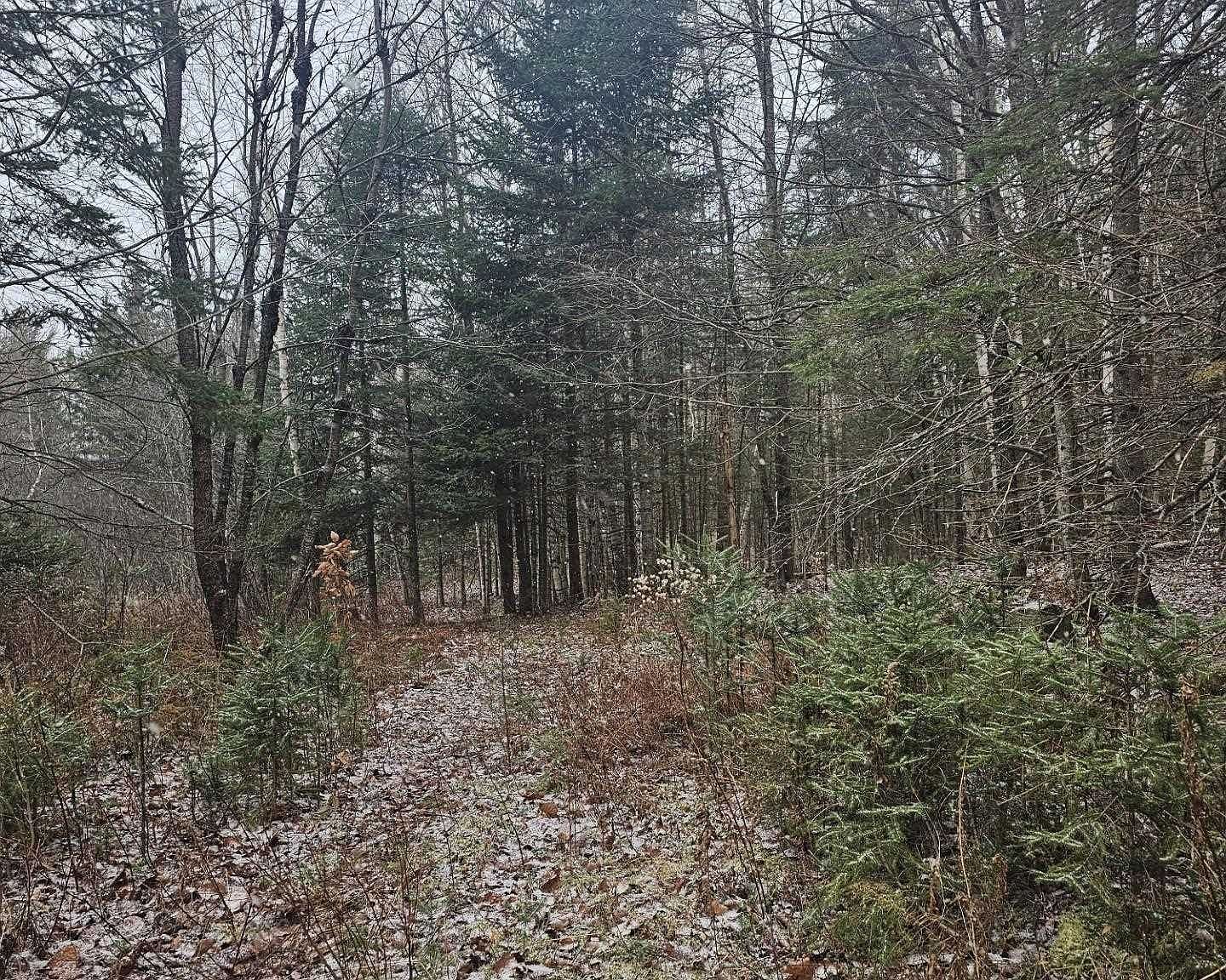 461 Hill Rd #MAP Milan, NH 03588 - Thumbnail 5