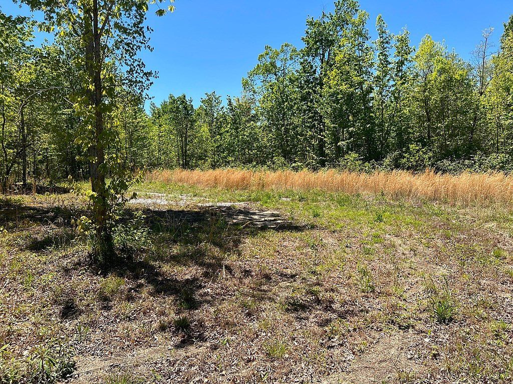 LOT McCartt Ridge Ln #J Sunbright, TN 37872 - Thumbnail 5