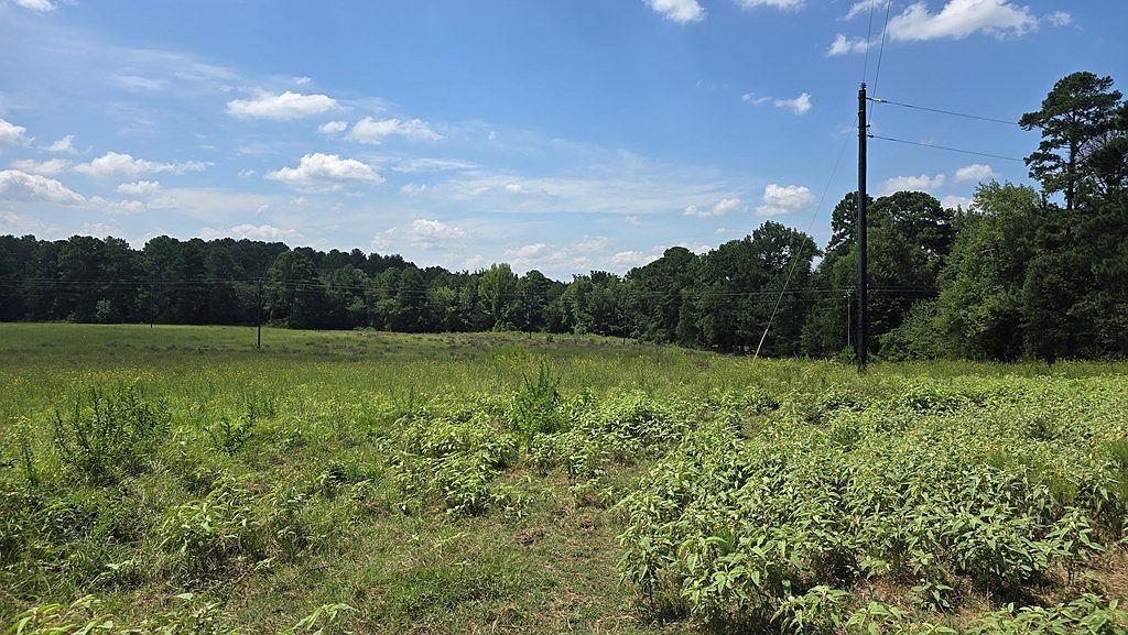 Lots 1 9 Cres #3203 Mount Enterprise, TX 75681 - Thumbnail 5