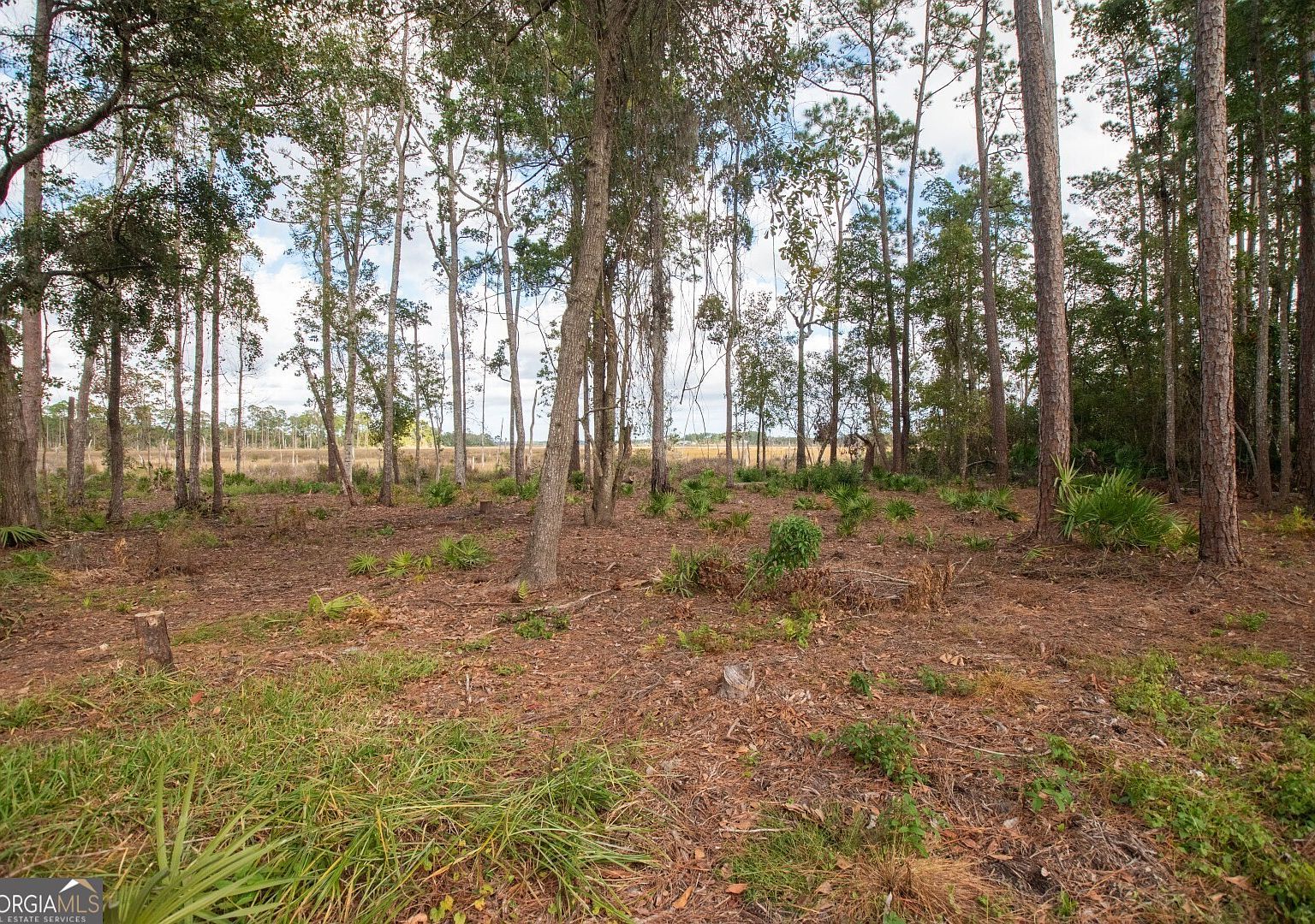 481 Eagle Blvd Kingsland, GA 31548 - Thumbnail 5