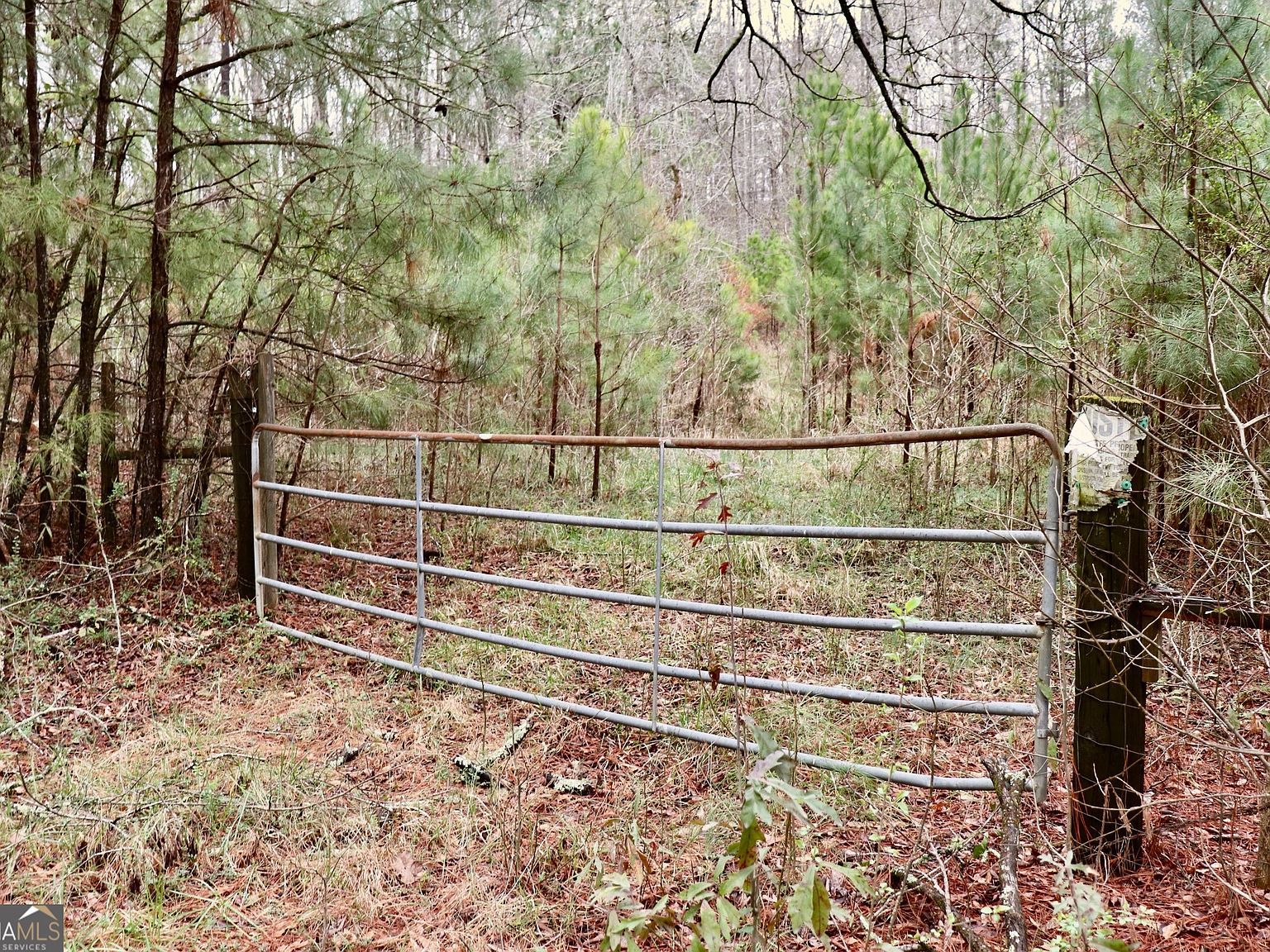 0 Rico Rd Chattahoochee Hills, GA 30268 - Thumbnail 5