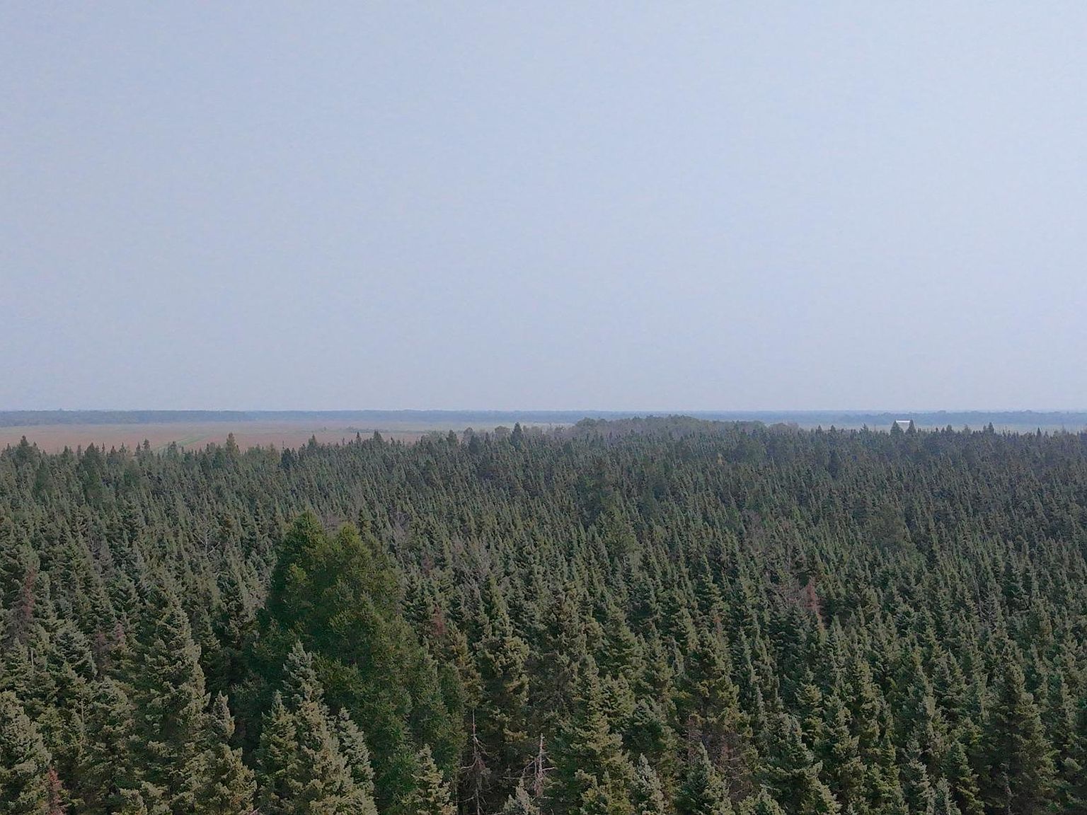 Sunflower Rd NE Kelliher, MN 56650 - Thumbnail 5