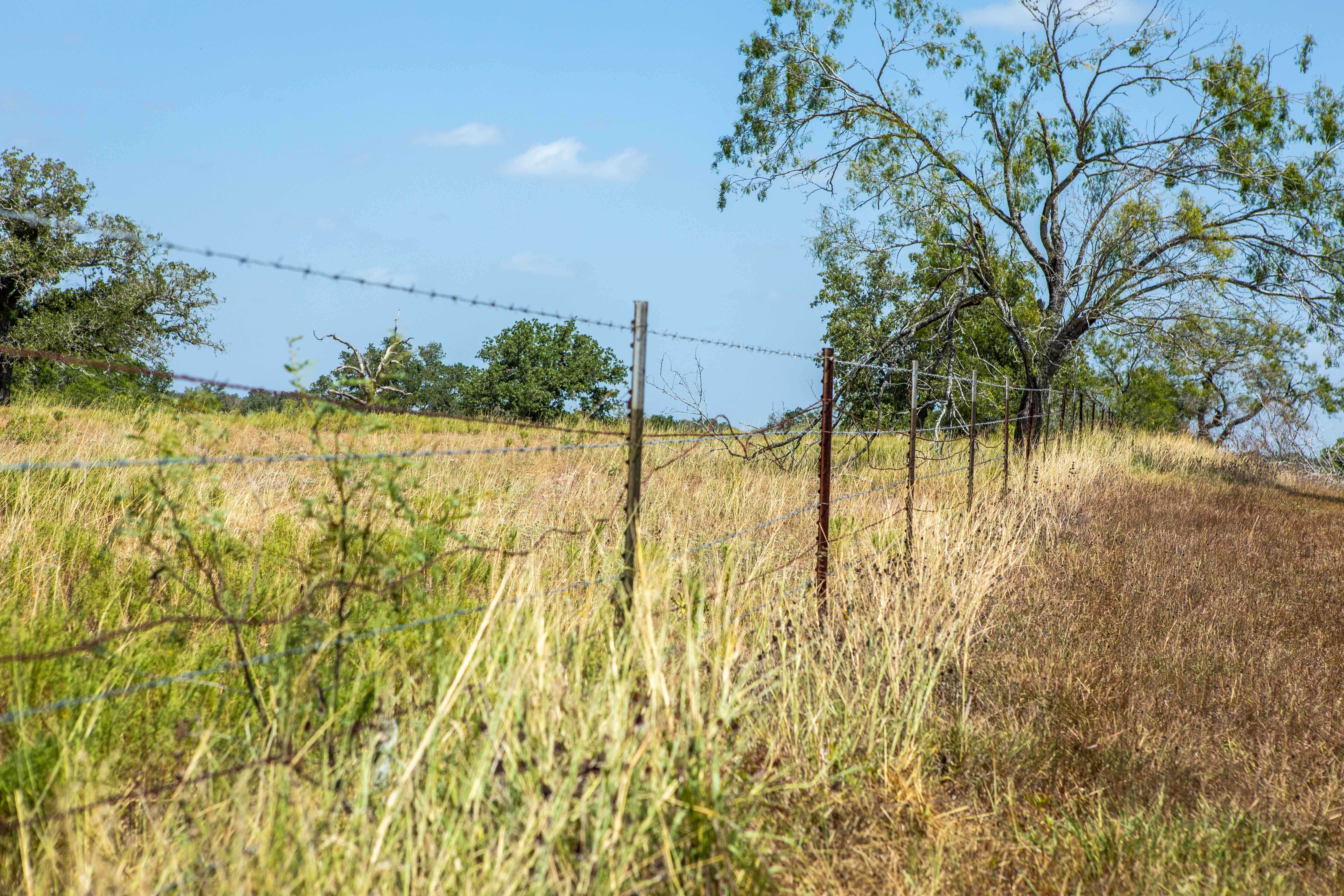 County Road 515, Waelder, TX, 78959 - Thumbnail 5