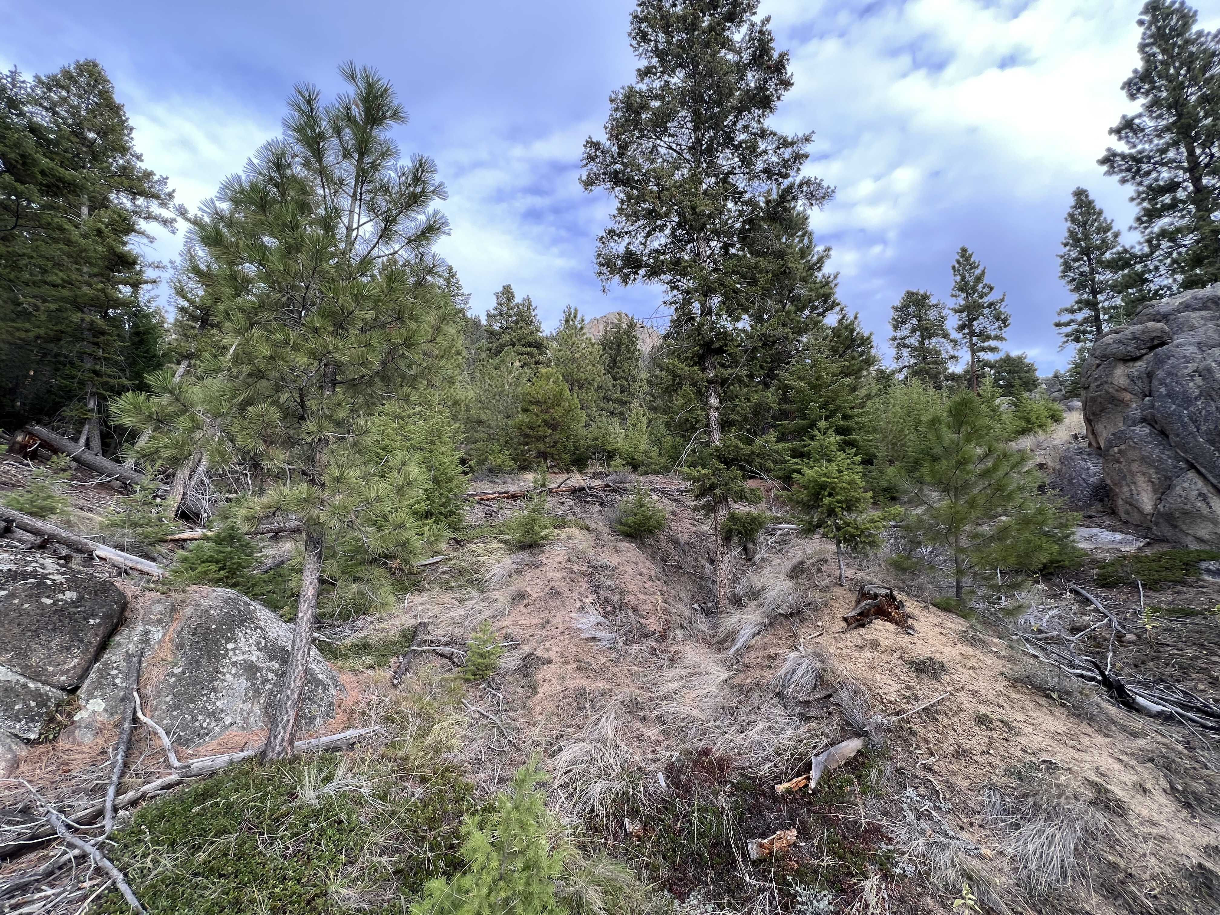 12 Big Horn Dr, Clancy, MT, USA, 59634 - Thumbnail 5