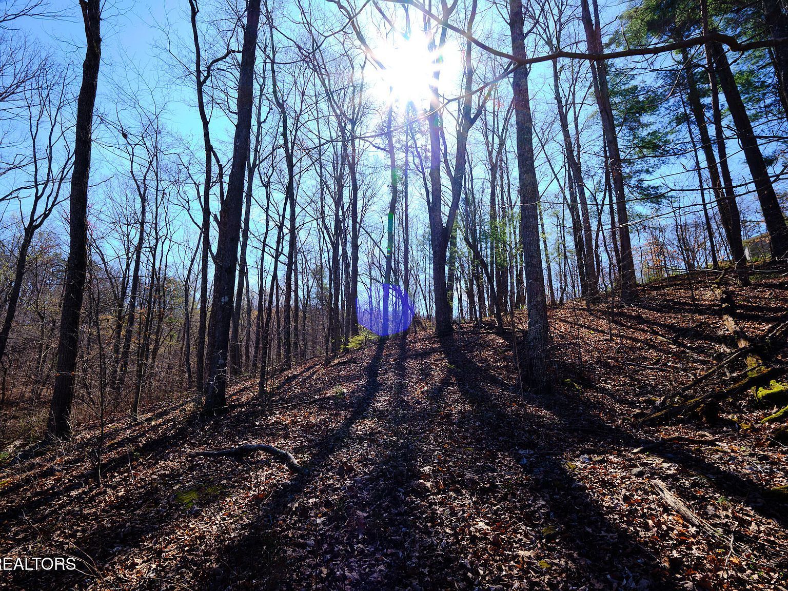 3212 Long Hollow Rd Powell, TN 37849 - Thumbnail 5