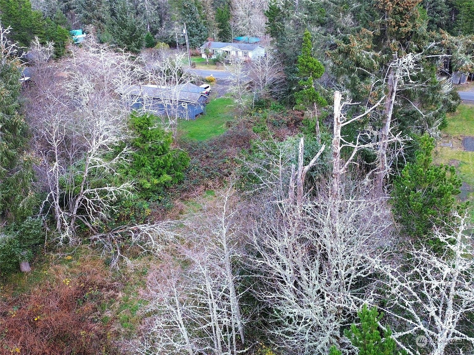 285 Xx U St Ocean Park, WA 98640 - Thumbnail 5