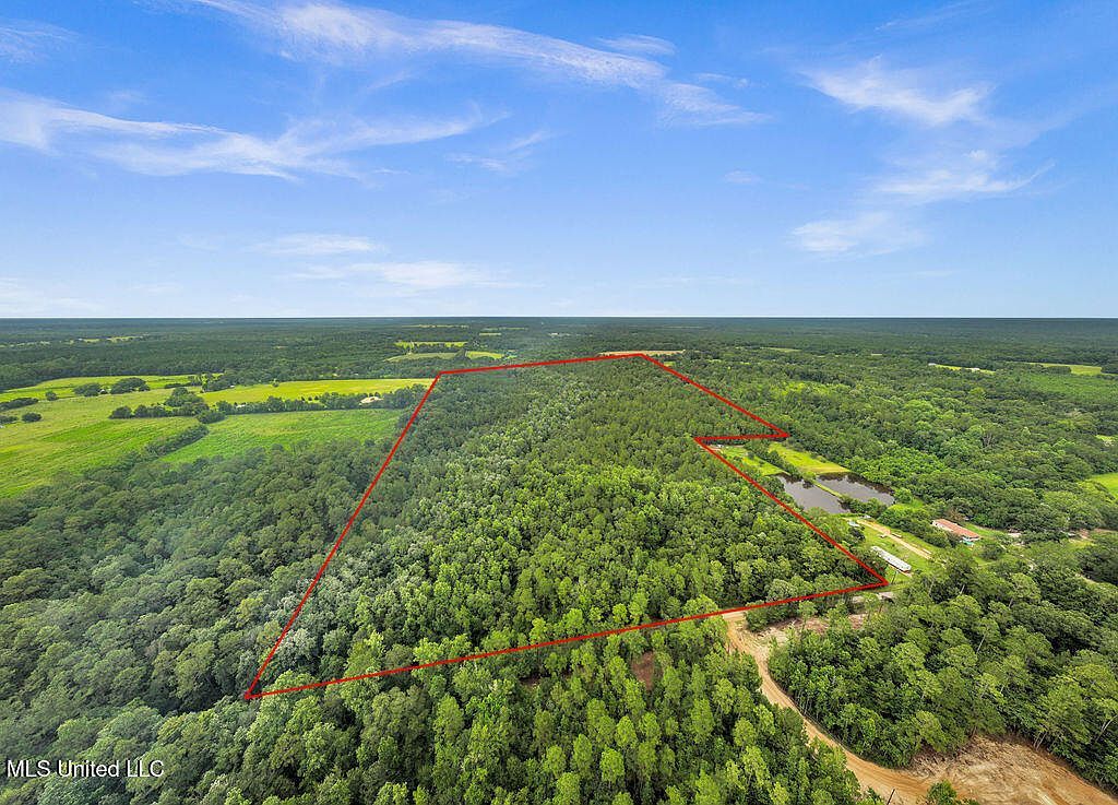 278 Cowart Rd Lucedale, MS 39452 - Thumbnail 5