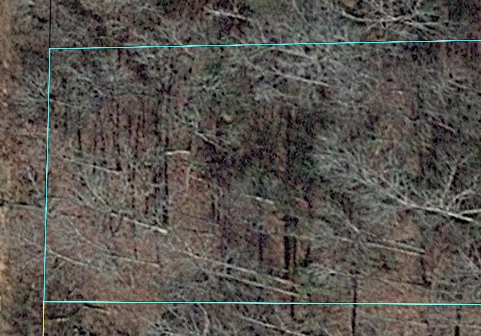 10 Oak Dr Hawkinsville, GA 31036 - Thumbnail 5