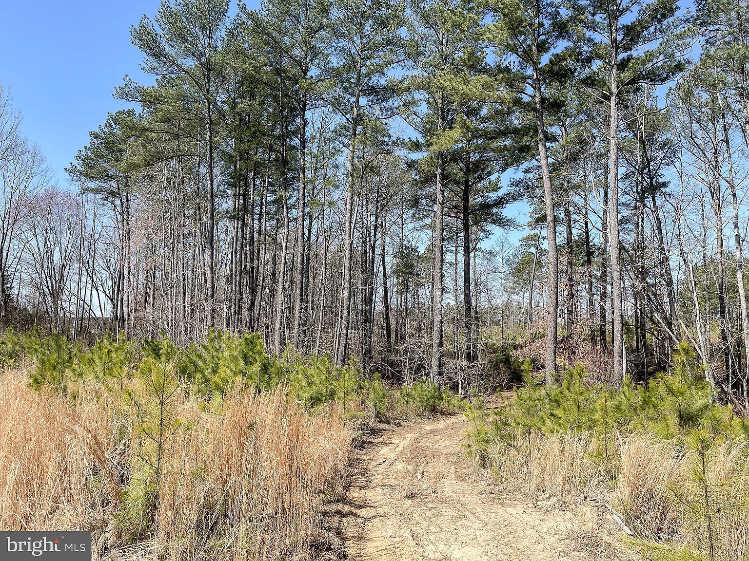 Yellowbottom Rd Lignum, VA 22726 - Thumbnail 5