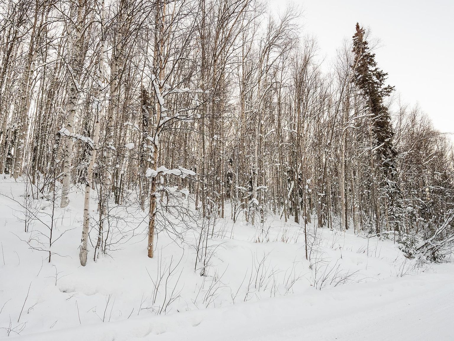 Nhn Chena Ridge Rd Fairbanks, AK 99709 - Thumbnail 5
