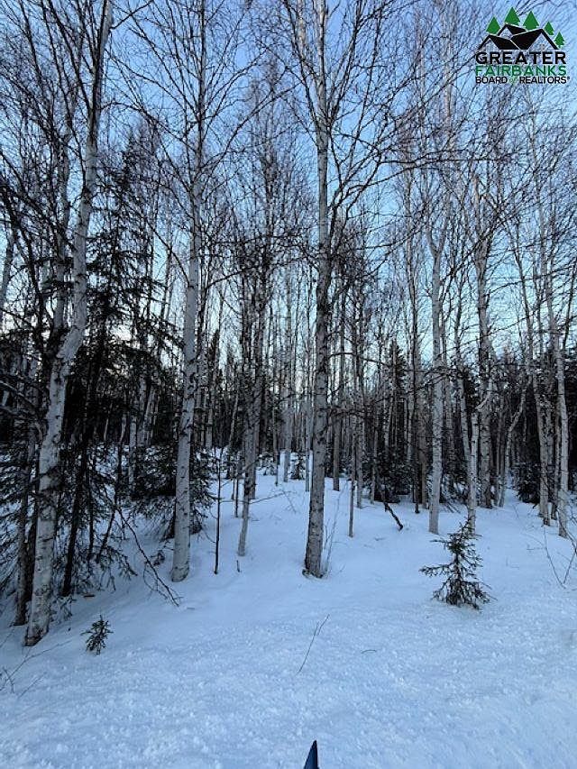 Nhn Orchid Dr Salcha, AK 99714 - Thumbnail 5