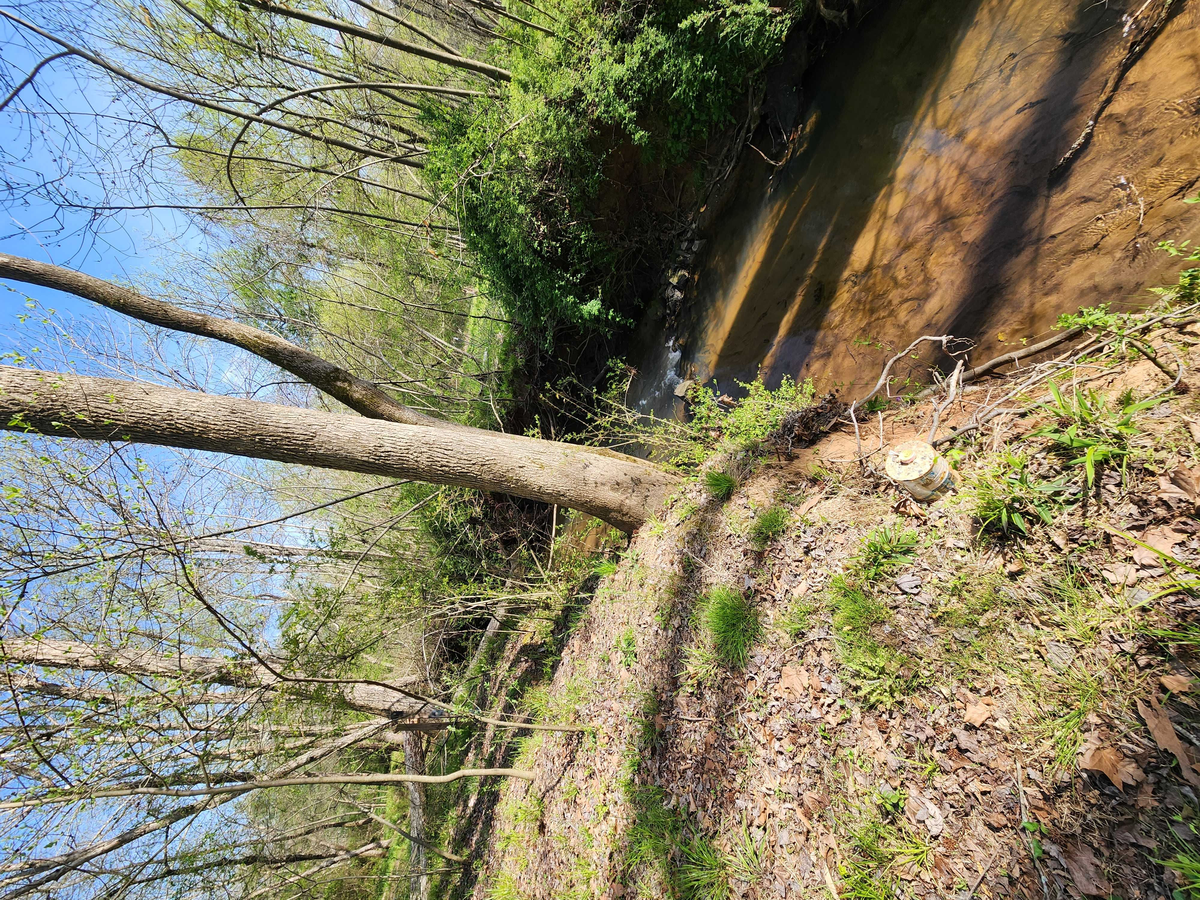 301 Seven Springs Loop, Statesville, NC, 28677 - Thumbnail 5