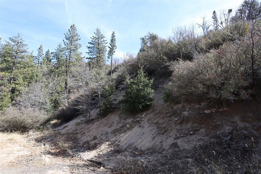 717 Acacia Rd Cedar Glen, CA 92321 - Thumbnail 5