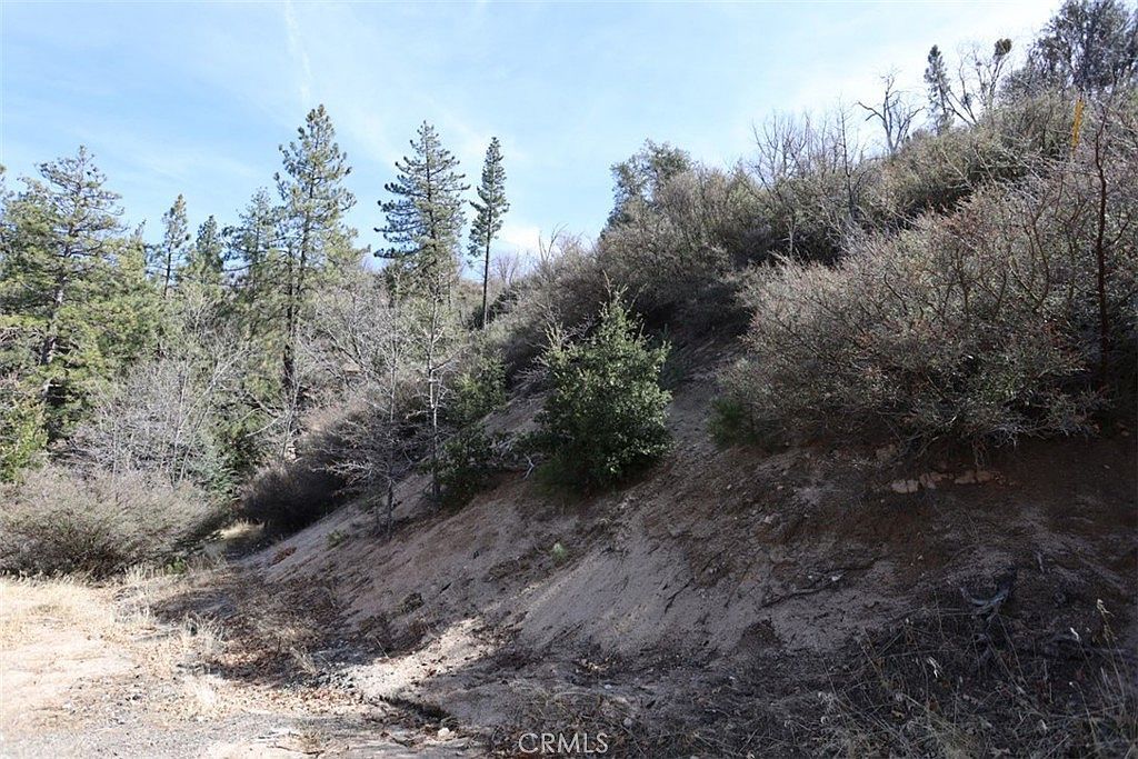 0 Acacia Rd Cedar Glen, CA 92321 - Thumbnail 5