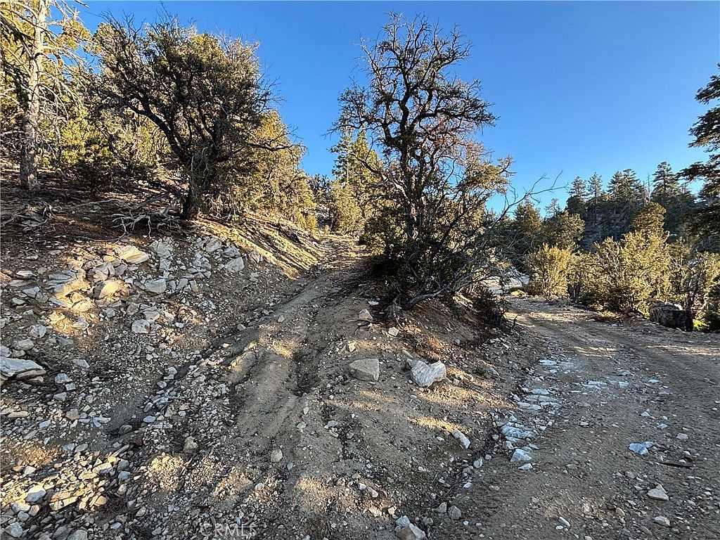 0 Ironwood Ln Angelus Oaks, CA 92305 - Thumbnail 5