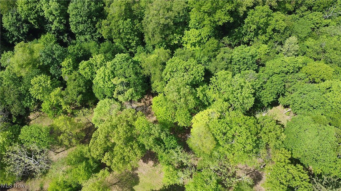 204 Reichart Ave #3 Steubenville, OH 43953 - Thumbnail 5