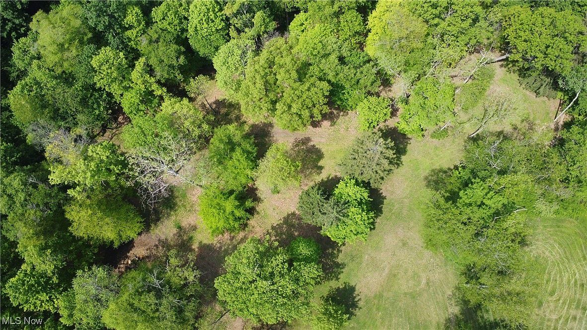 204 Reichart Ave #1 Steubenville, OH 43953 - Thumbnail 5