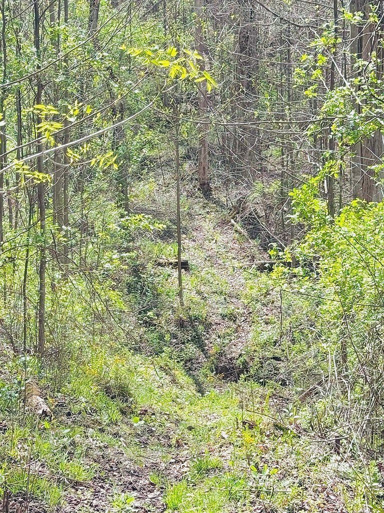 169 Everette Ln Odd, WV 25843 - Thumbnail 5