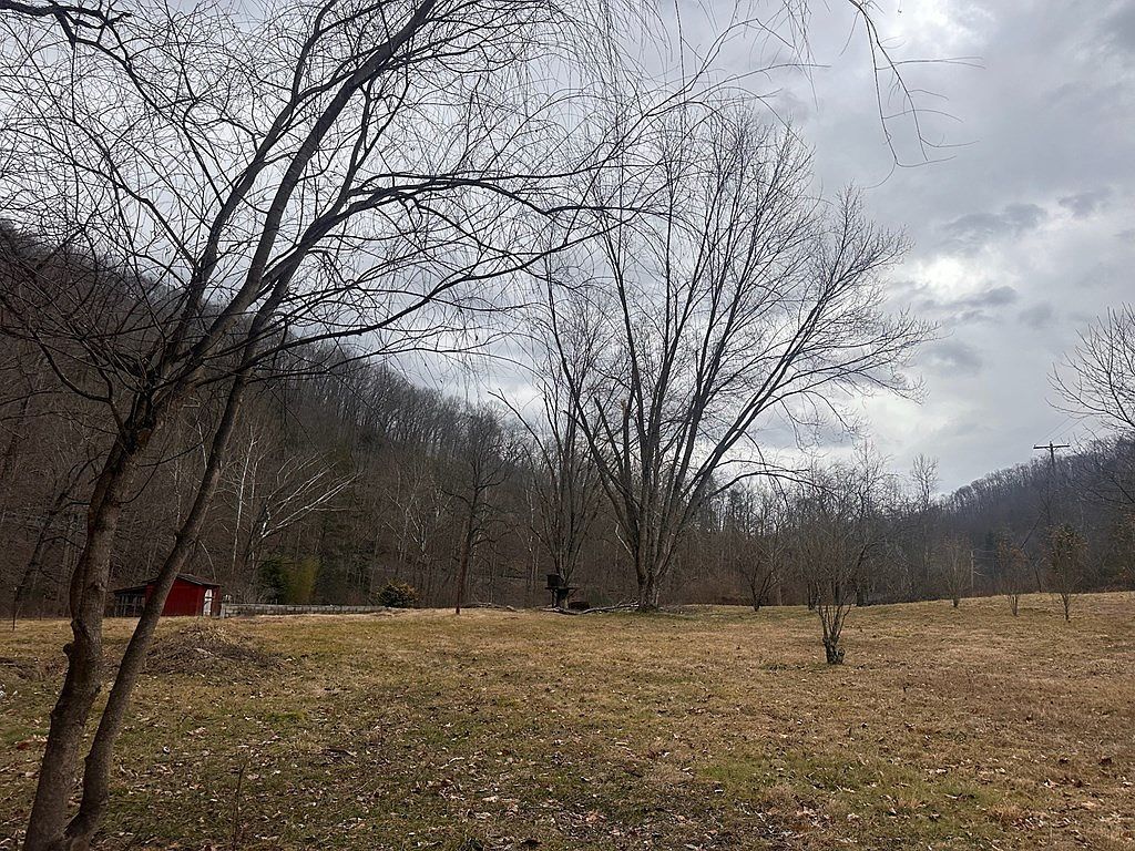 225 Lynfield Pl Artie, WV 25008 - Thumbnail 5