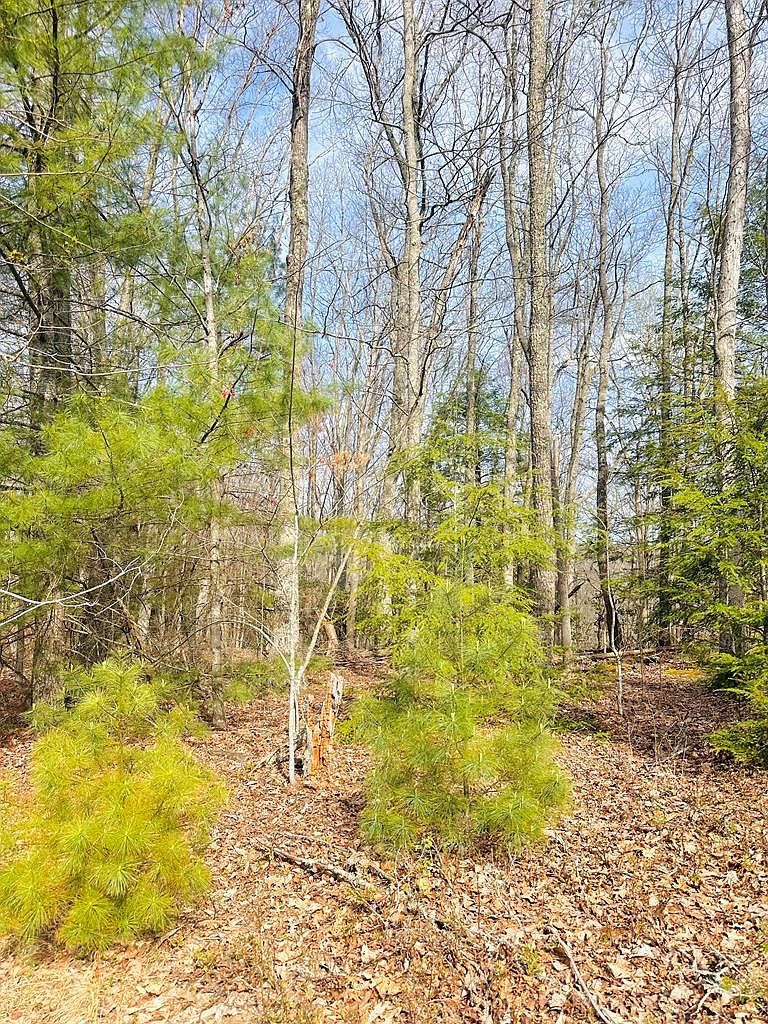 222 Highlands Ln Daniels, WV 25832 - Thumbnail 5