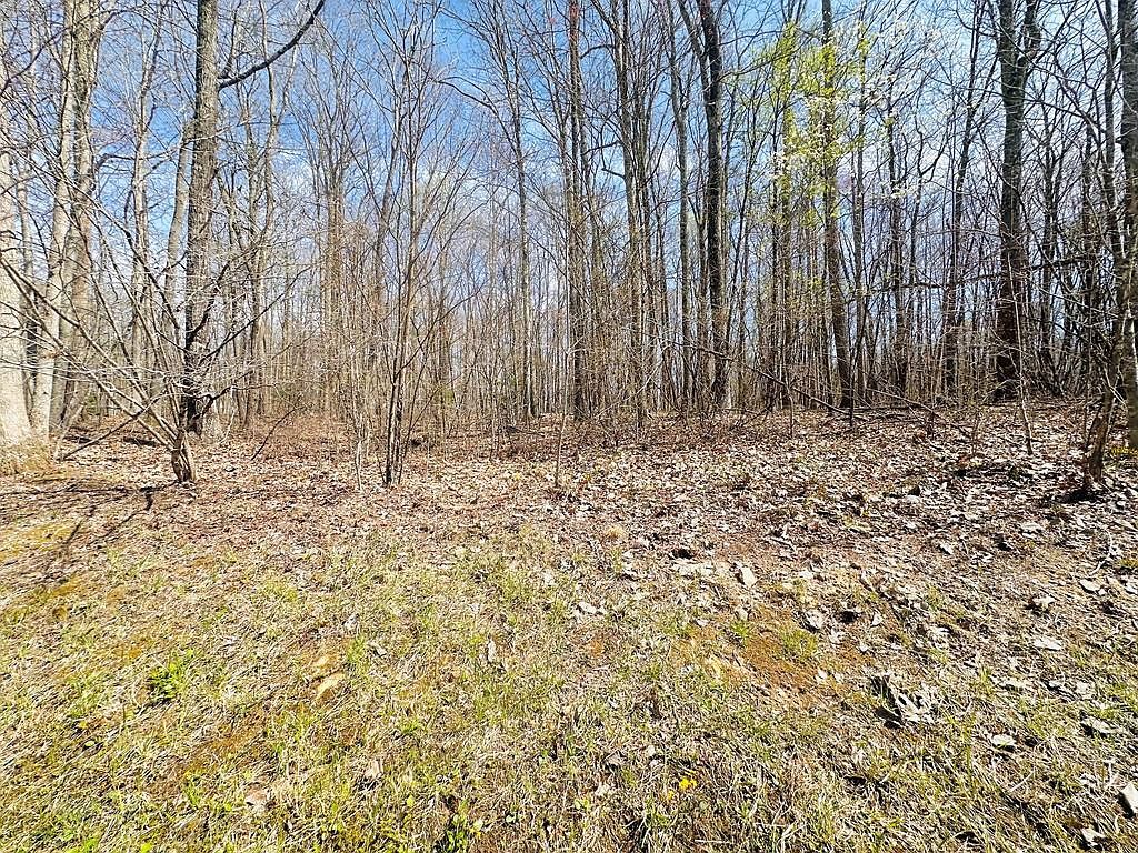 248 Rothfield Cir Daniels, WV 25832 - Thumbnail 5