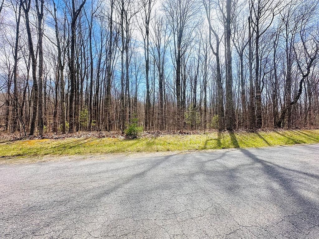 123 Leeds Ln Daniels, WV 25832 - Thumbnail 5
