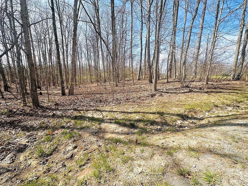 159 Saint Andrew Shady Spring, WV 25918 - Thumbnail 5