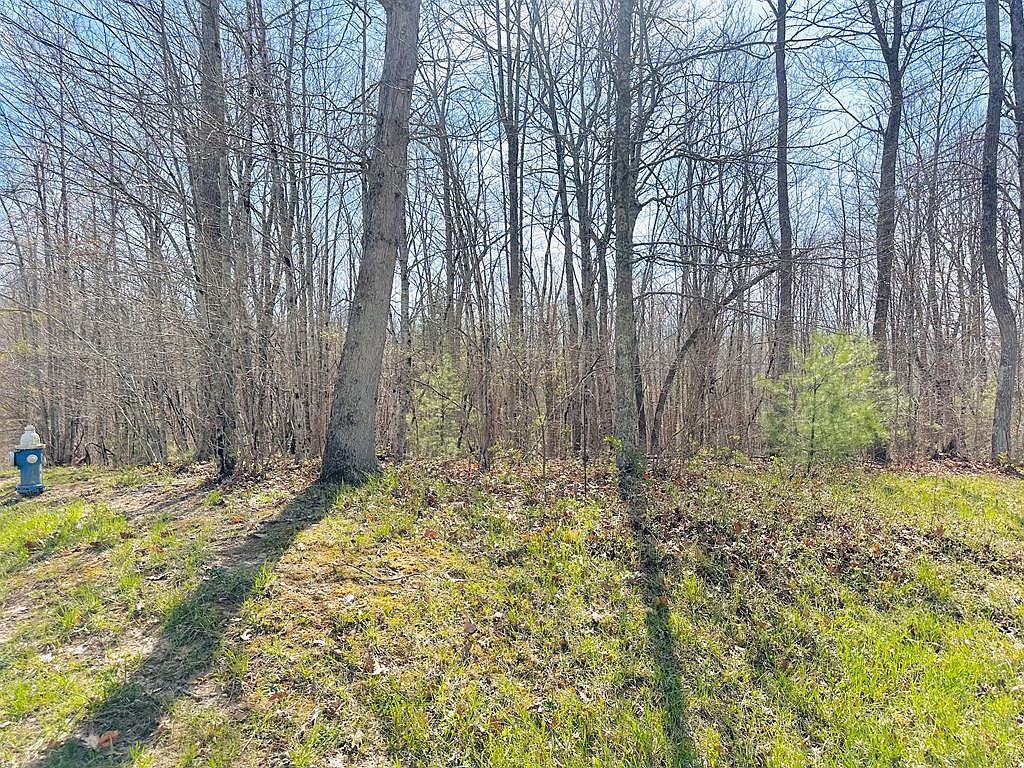 103 Saint Paul Ln Daniels, WV 25832 - Thumbnail 5