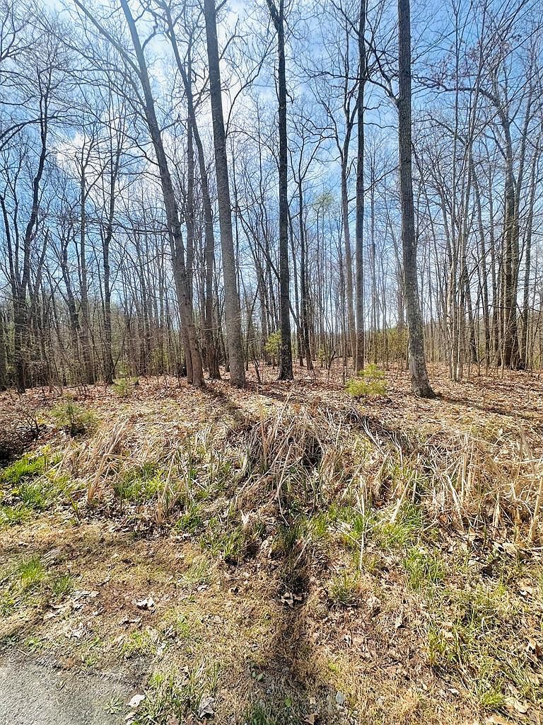 272 Leeds Ln Daniels, WV 25832 - Thumbnail 5