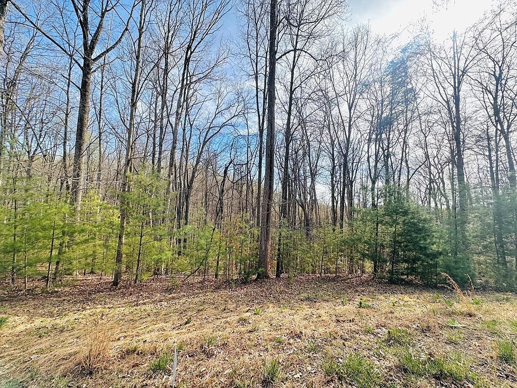 221 Windsor Ln Daniels, WV 25832 - Thumbnail 5