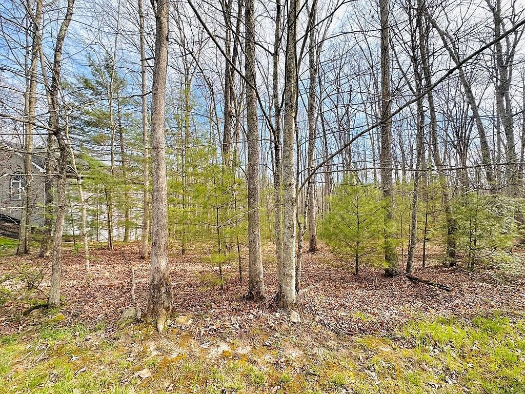 202 Glen Garden Ln Daniels, WV 25832 - Thumbnail 5