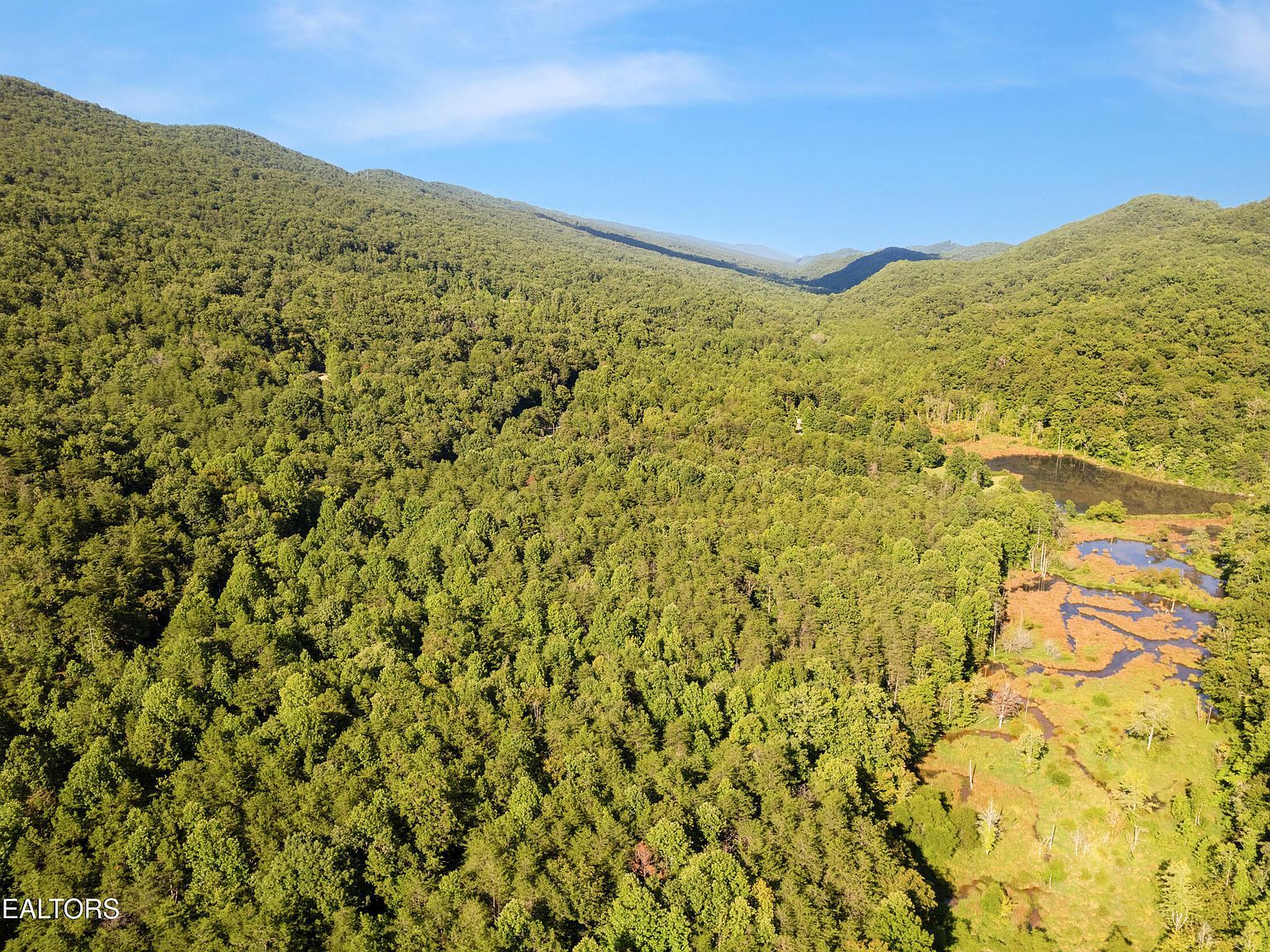 Steve Brown Rd Bean Station, TN 37708 - Thumbnail 5