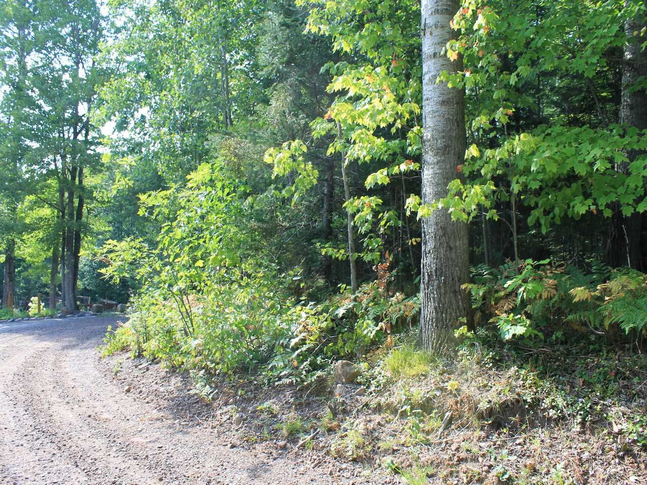 Lot 16 - North Alpine Drive, Upson, WI, USA, 54565 - Thumbnail 5